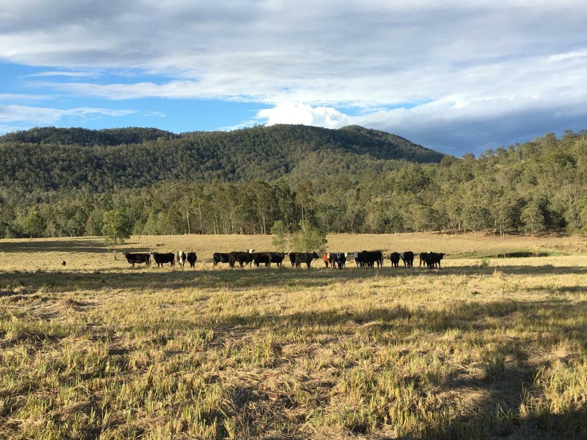 Ferienwohnung Rural Ambience With Netflix Mount George Exterior foto